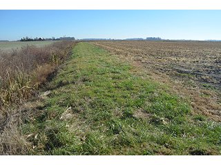 Tracts 4 & 5 - FARMLAND AUCTION - 165.5+/- ACRES OFFERED IN 5 TRACTS OR COMBINATIONS IN EAST ALLEN COUNTY